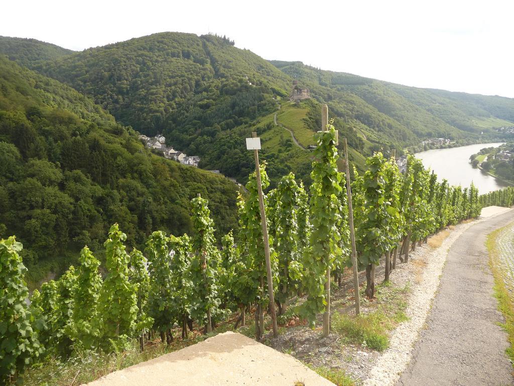 贝恩卡斯特尔-屈斯 艾赛斯旅馆酒店 外观 照片